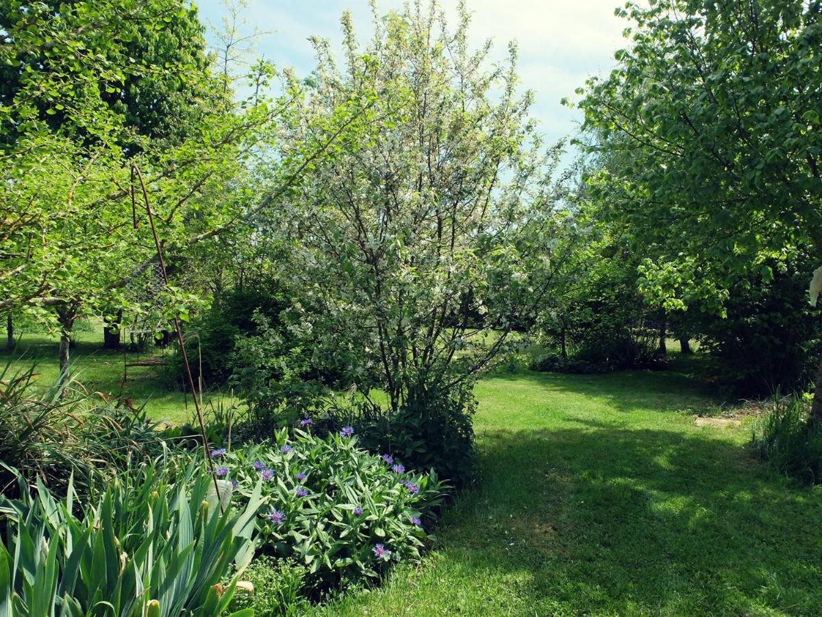 Le The Au Jardin Bed and Breakfast Saint-Julien-de-Civry Eksteriør billede